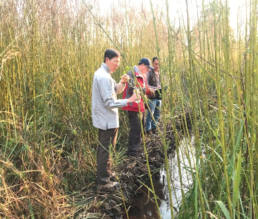 检查野外采样点